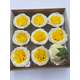 Trandafiri de sapun Austin yellow white cutie 9 capete