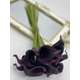 Cale silicon latex real touch FL053 Purple buchet 10 fire