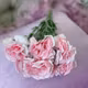 Garofite 2062 Dark pink buchet 7 fire