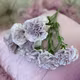 Garofite 2062 Purple buchet 7 fire