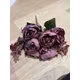 Bujori TRG Wine red buchet 11 fire