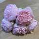 Bujori FL064 Roz pal buchet 5 fire