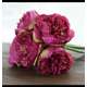 Bujori FL064 Ciclam buchet 5 fire