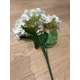 Hortensie H6 Alb buchet 5 fire