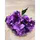 Hortensie H6 Mov buchet 5 fire