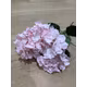 Hortensie H6 Roz pal buchet 5 fire