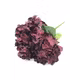 Hortensie buchet 6 fire H8 Grena
