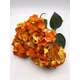 Hortensie buchet 6 fire H8 Orange