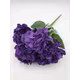Hortensie buchet 6 fire H8 Violet