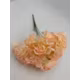 Hortensie FL001 Corai buchet 7 fire