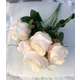 Trandafiri FL072 Crem buchet 7 fire