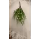 Buchet cod fr51 