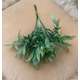 BUCHET VERDEATA FR 041 GREEN
