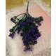 BUCHET VERDEATA FR027 MOV