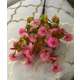 BUCHET VERDEATA FR100 CICLAM