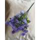 BUCHET VERDEATA FR100 MOV