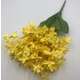 Buchet zambila FL045 Galben