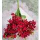 Buchet zambila FL045 Rosu
