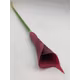 Cale mare silicon Burgundy