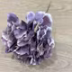 Cap de hortensie Mov degrade