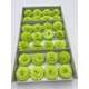 Crizantema de sapun green cutie 28 de capete