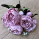 Bujorei Dragut Pink buchet 5 fire