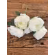 Bujori F14 Alb buchet 5 fire