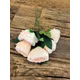 Bujori F14 Peach buchet 5 fire