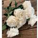 Trandafiri FL005 Bej buchet 9 fire