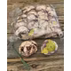 Bujori FL041 Capucino set 20 capete cu tije