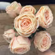 Trandafiri FL2102 Roz buchet 7 fire