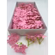 Hortensie sapun parfumat Medium pink cutie 40 capete