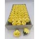 Trandafiri de sapun parfumat premium Light Yellow cutie 50 de flori