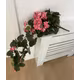MUSCATA CURGATOARE -BEGONIA-ROZ  80CM