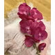 Orhidee material textil Ciclam