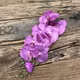 Orhidee material textil Purple