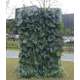 Panou gata facut Greenery cu monstera si palmier 200x100 cm