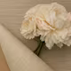 Set 20 Hartii Impachetat Cod 6012 Beige