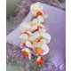 Orhidee material textil soft touch Roz