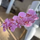 Orhidee silicon 3D real touch F17/9