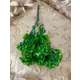 VERDEATA 2082 GREEN