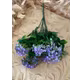 VERDEATA 2082 PURPLE