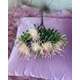 VERDEATA 7075 PINK