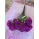 VERDEATA CIULIN FL042 MOV