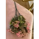VERDEATA CU BOBITE 4021 CICLAM