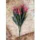 VERDEATA FR060 CICLAM